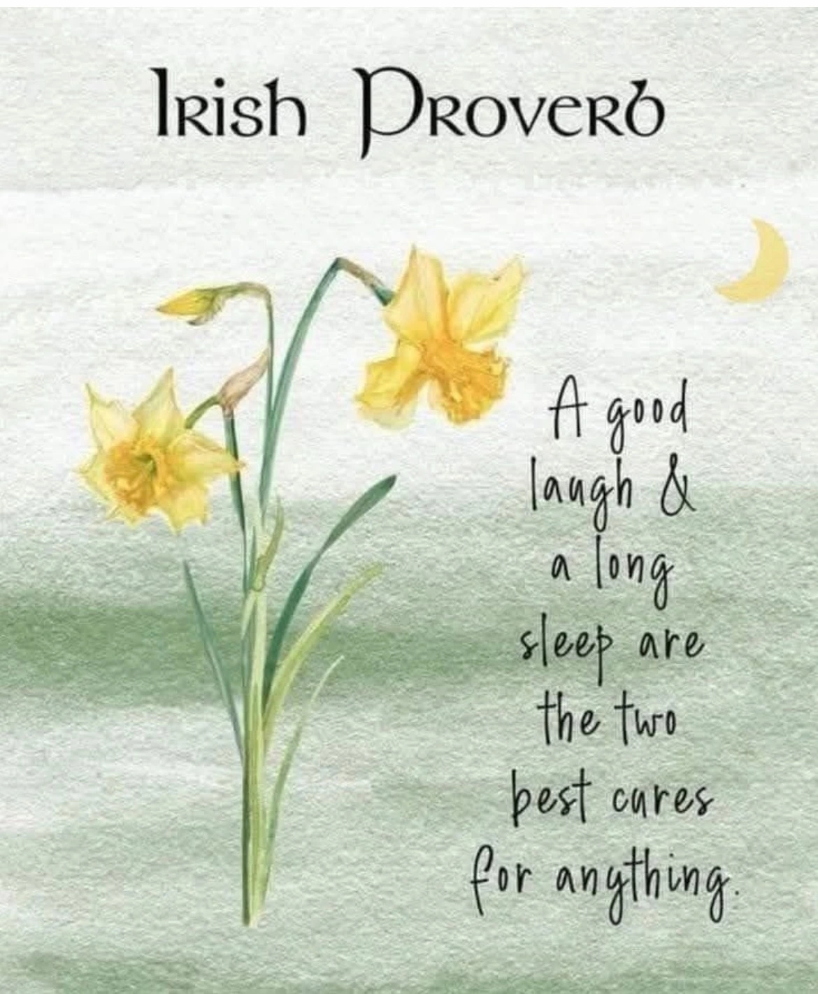 Irish proverb: A good laugh and a long sleep are the two best cures for anything. Yellow daffodils and a crescent moon on a soft green background.